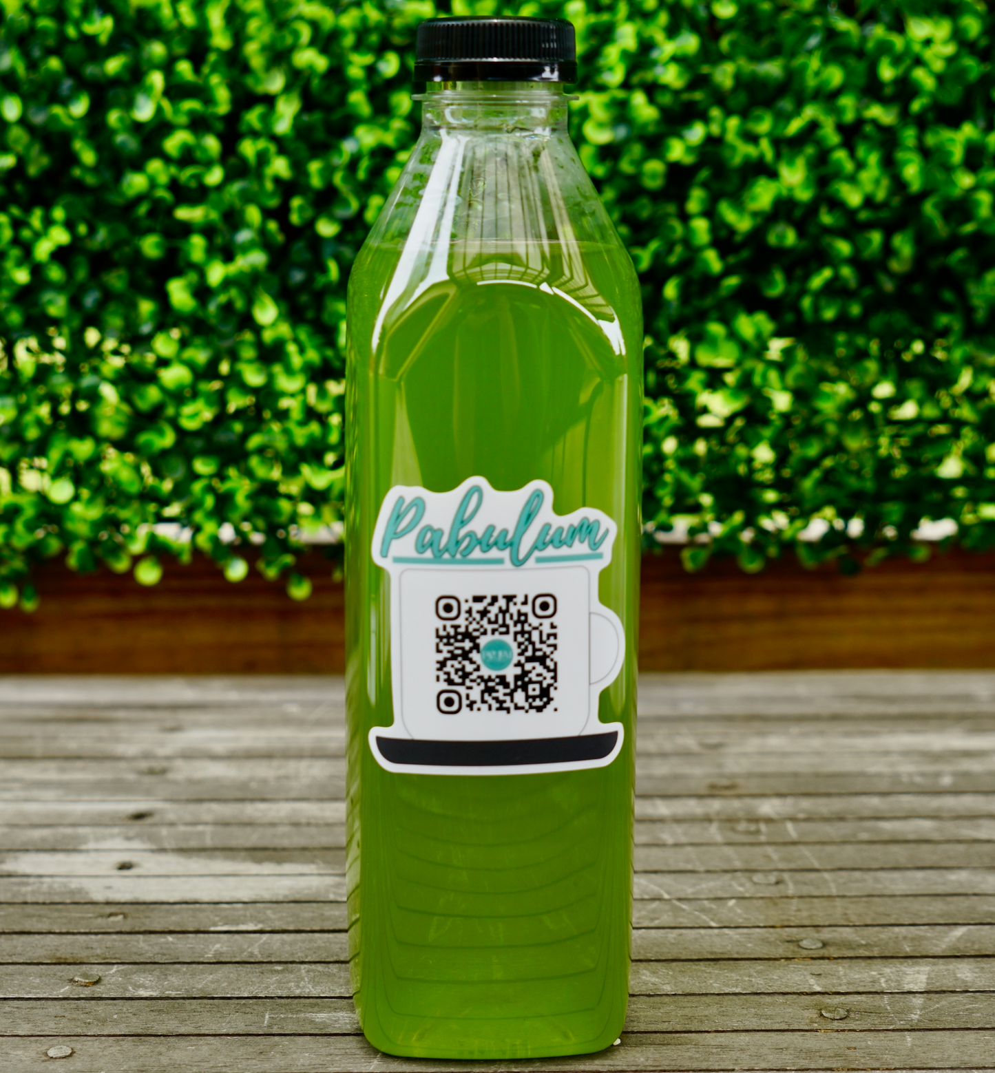 Pabulum Energy (Green Apple)