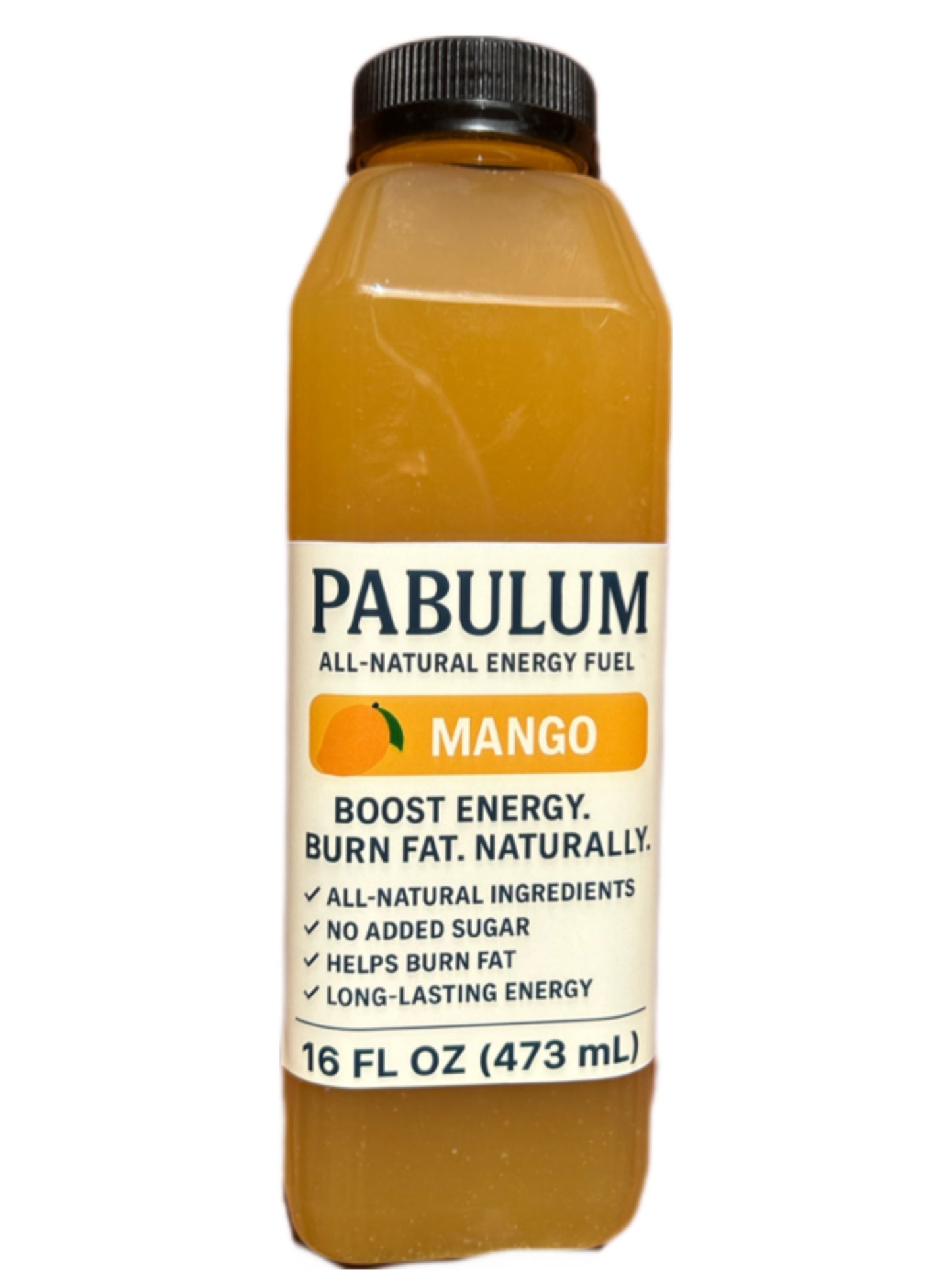 Pabulum Energy (Mango)